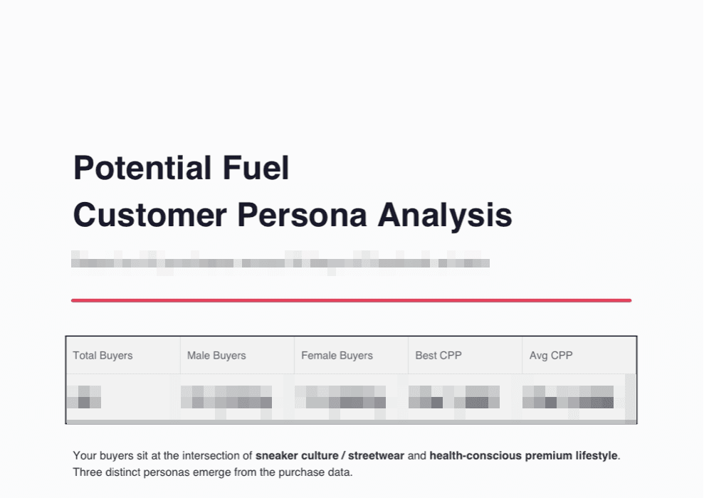 First page of the customer persona report generated by the fb_ads_analysis pipeline